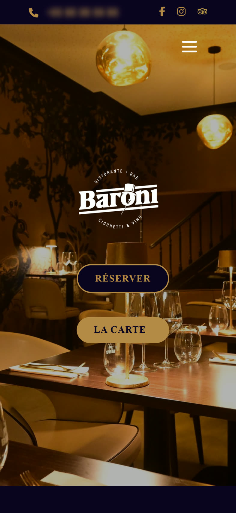Accueil du site Baroni sur téléphone.