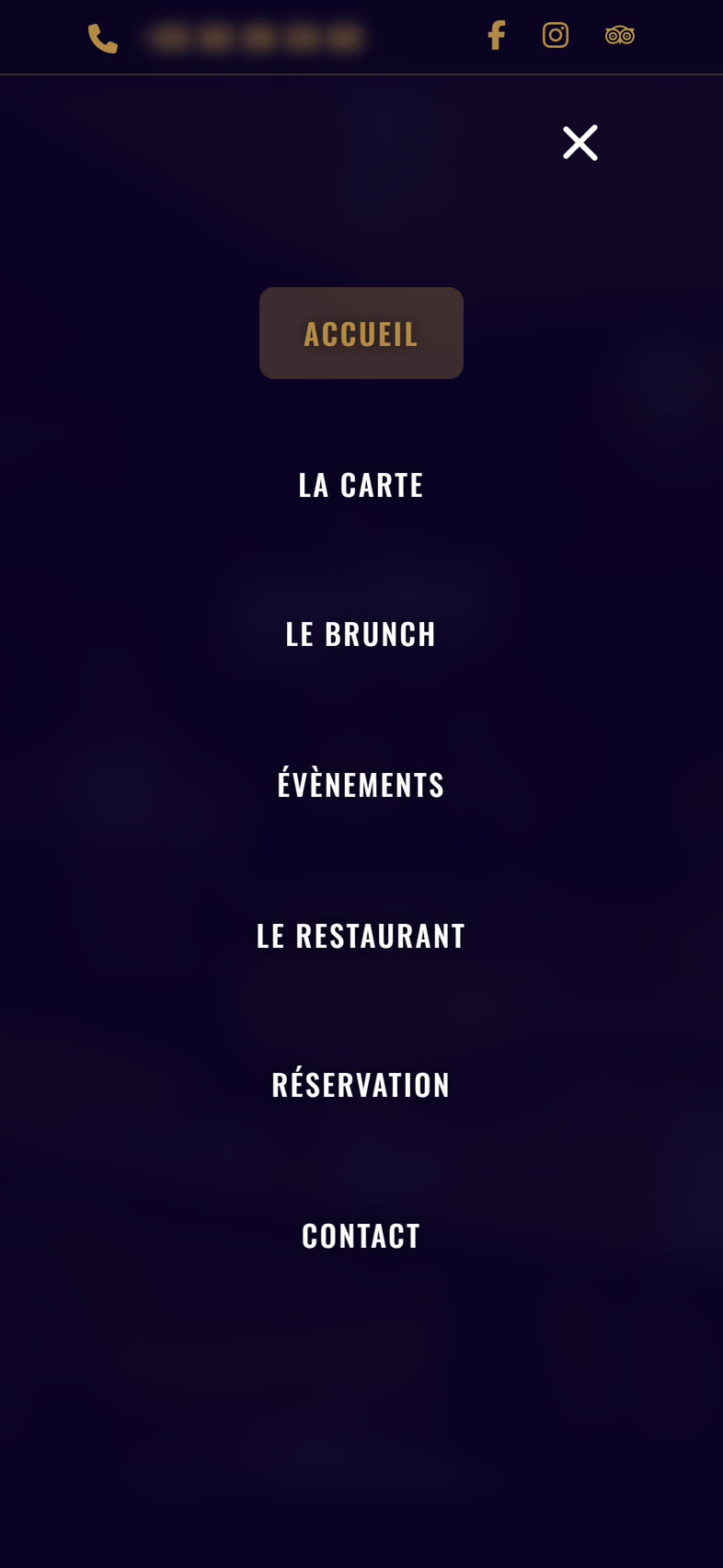 Menu mobile ouvert en plein écran.